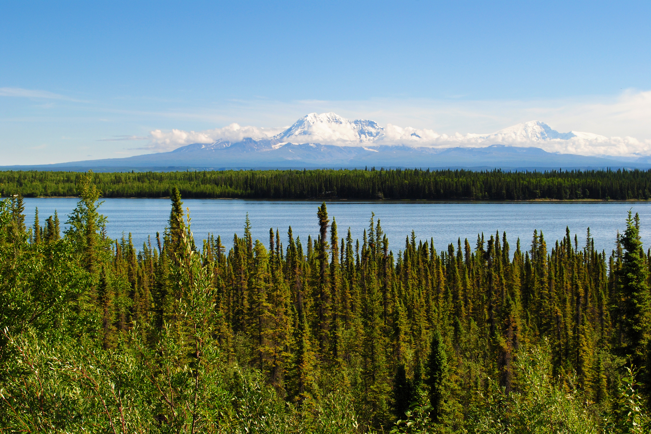 cover of episode Local&#039;s Guide what to do on your Alaska cruise (Episode 501)