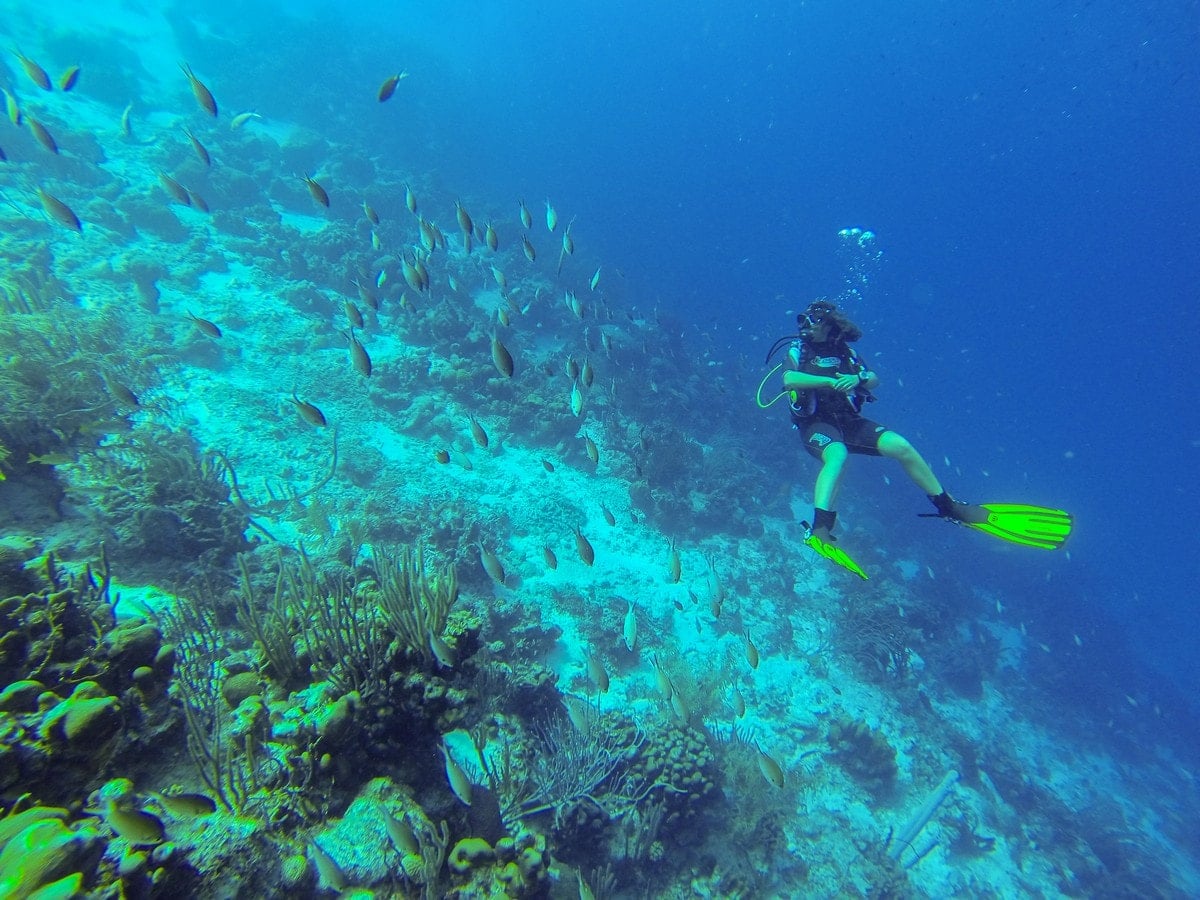 Royal Caribbean Blog Podcast