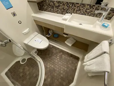Odyssey of the Seas interior cabin bathroom