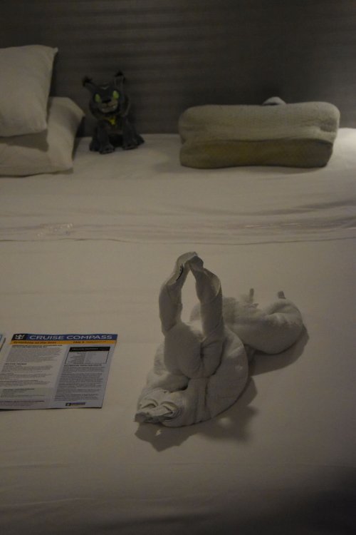 1st towel animal.jpg