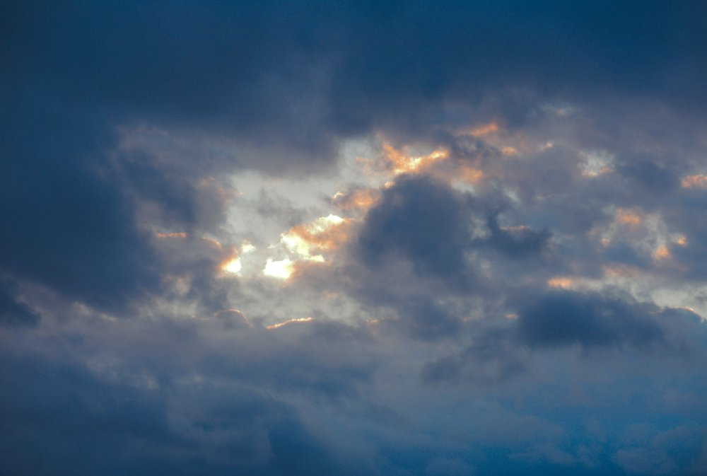 DSC_0286.jpg