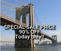 Brooklyn-Bridge-For-Sale-90-off-labeled-200px-.png.17abf88cf95c231f39398de63244cbf1.png