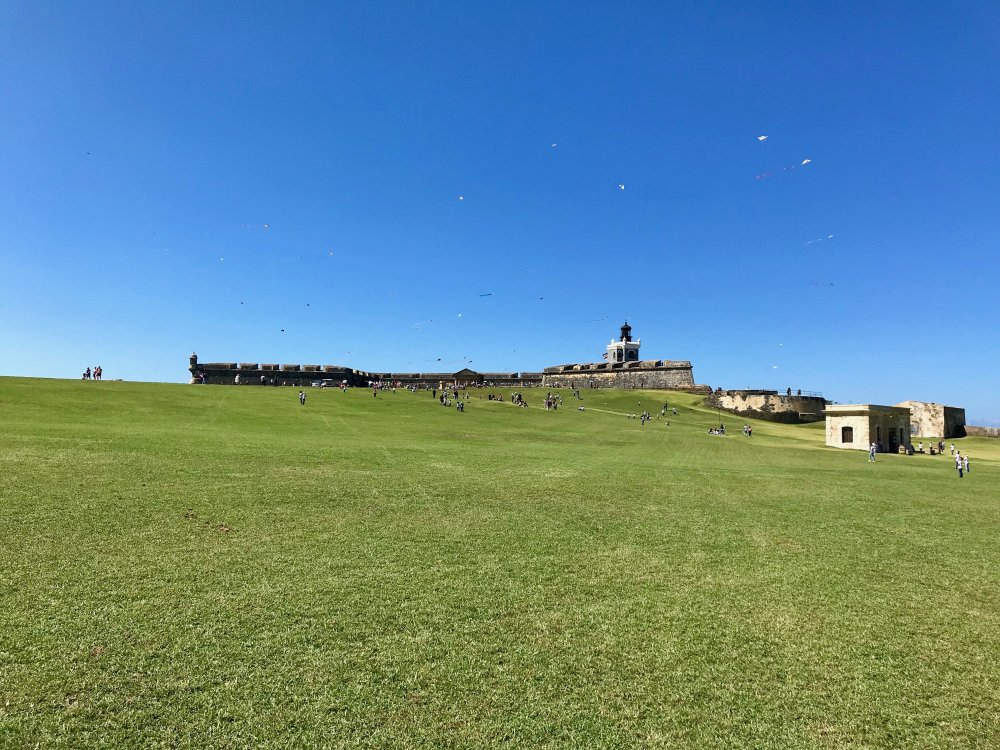 Day_5-San_Juan_Forts_Grass.thumb.jpg.0e58b715a8861d1cc749930feccf4550.jpg