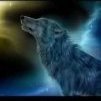 PhantomWolf