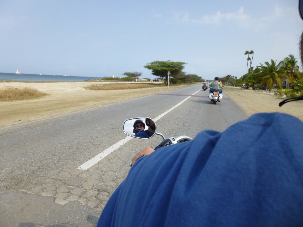 P1010291.thumb.JPG.1089c494b06f79cfb38289e5a6e1c37e.JPG