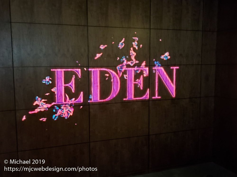 20190415-20190415_204145.thumb.jpg.5d4076e093a0e3e45f75eff444107dfa.jpg