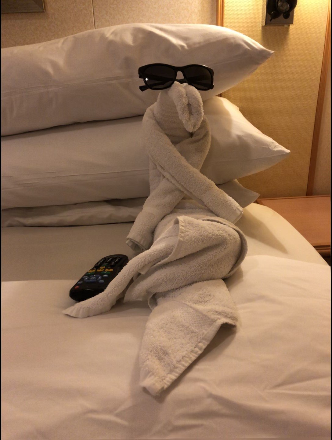 Best towel animals Royal Caribbean Discussion Royal Caribbean Blog