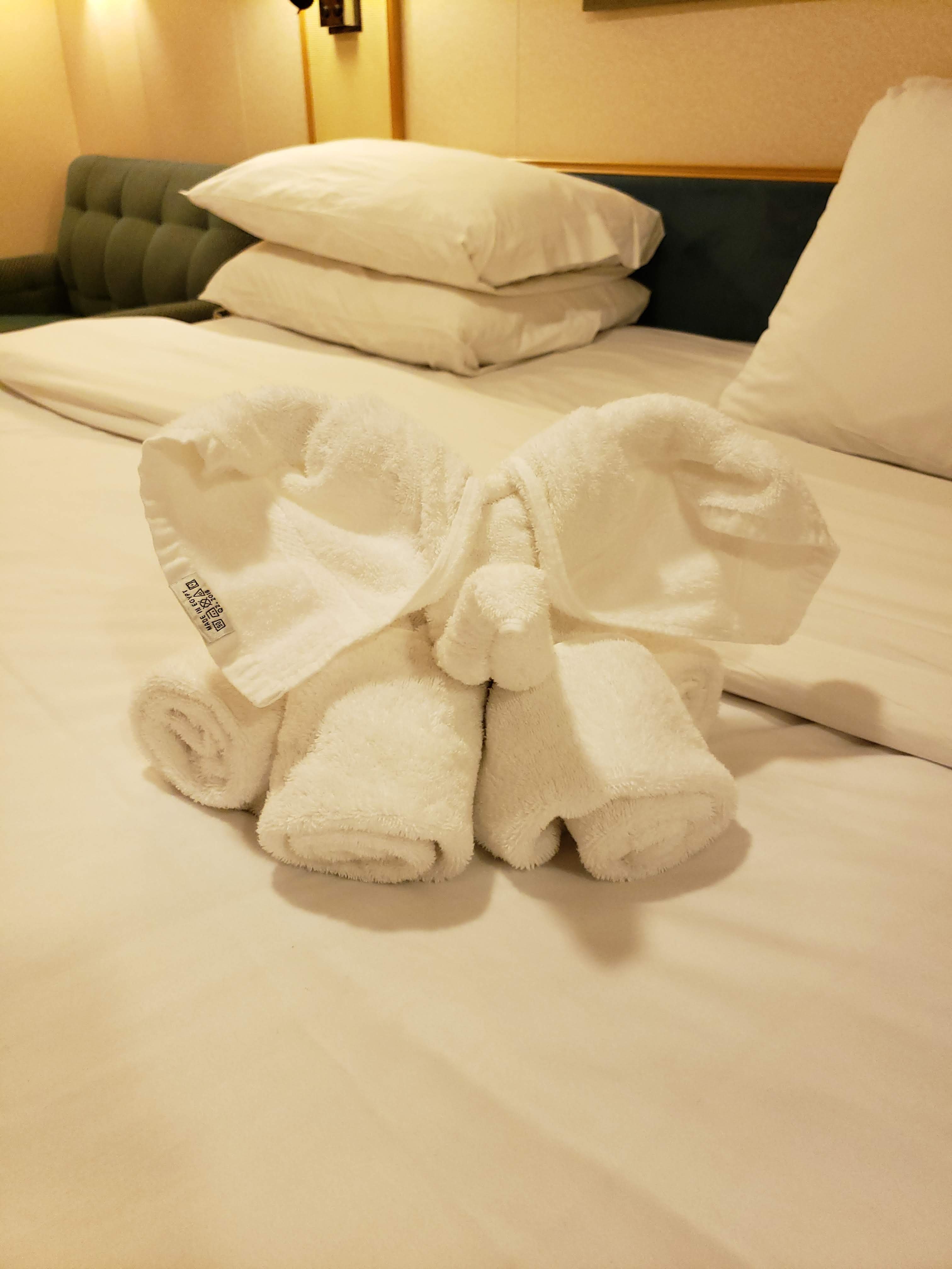 Best towel animals Royal Caribbean Discussion Royal Caribbean Blog