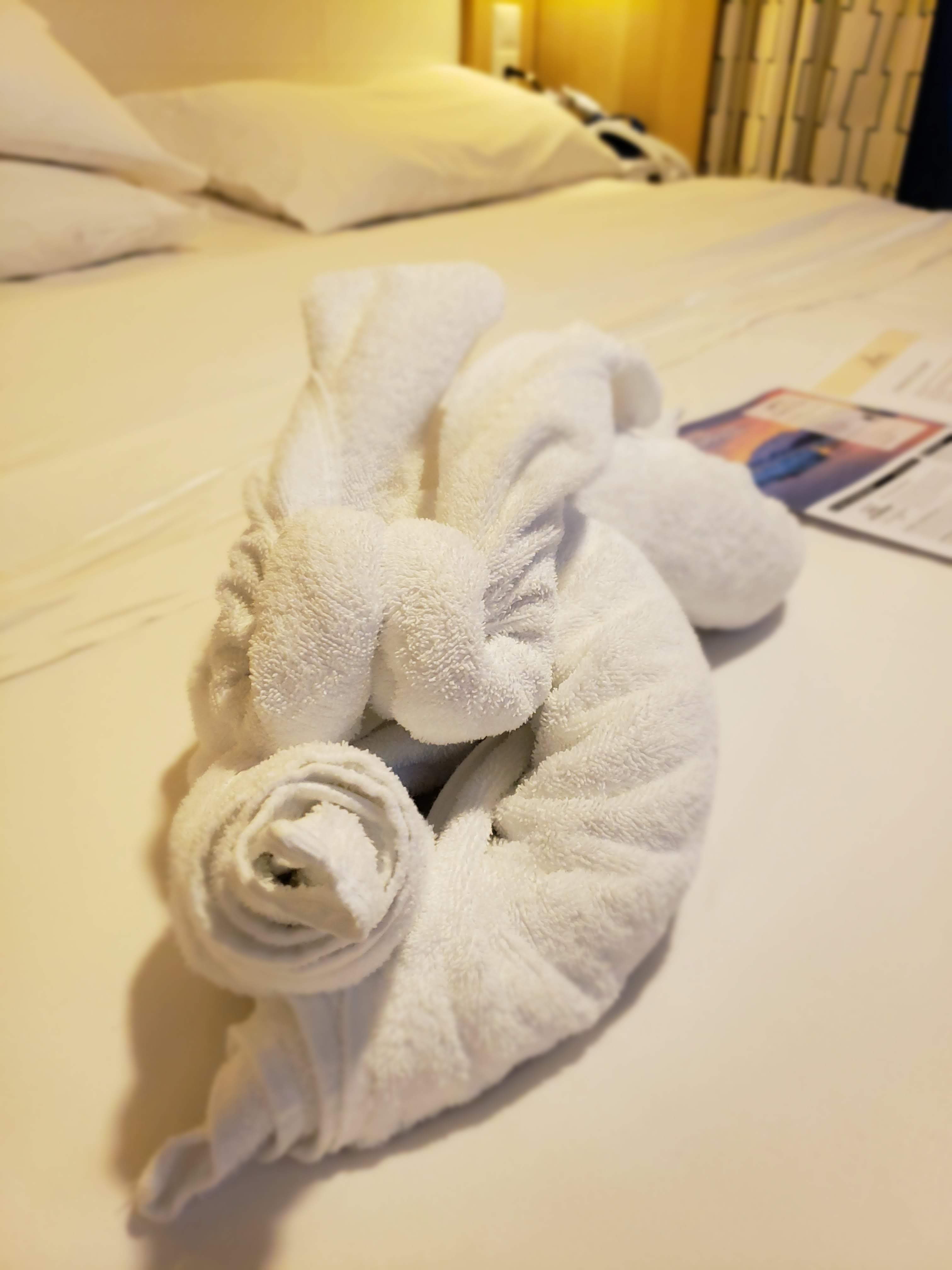 Best towel animals Royal Caribbean Discussion Royal Caribbean Blog