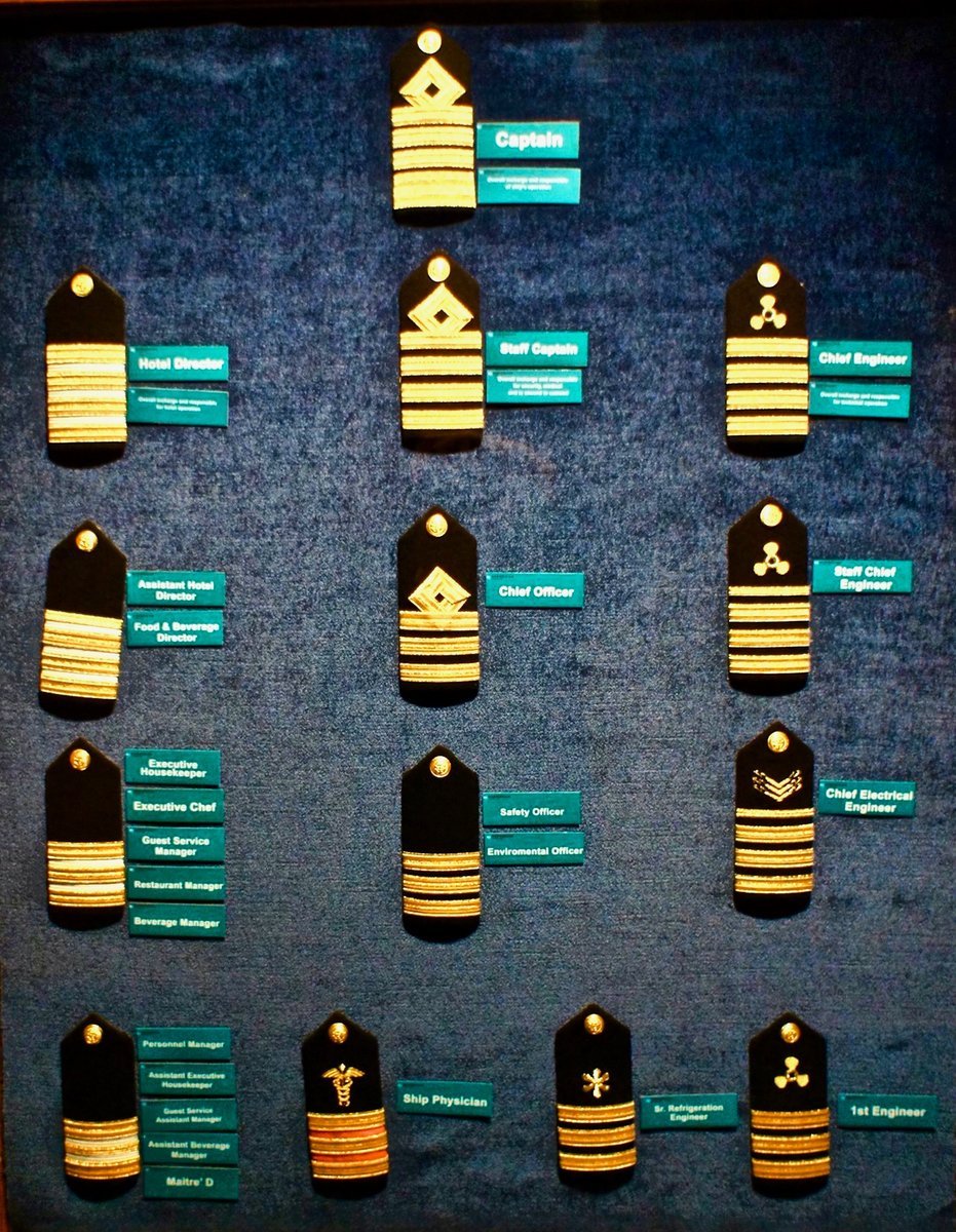 cruise ship officer insignia