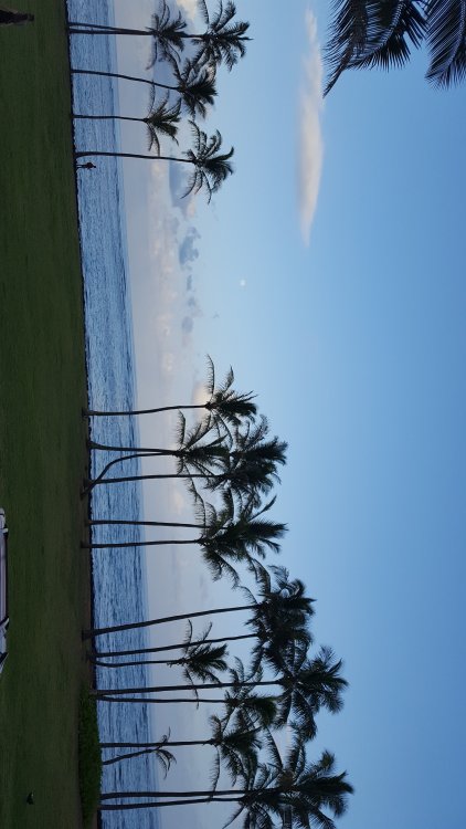 20170508_182422.jpg