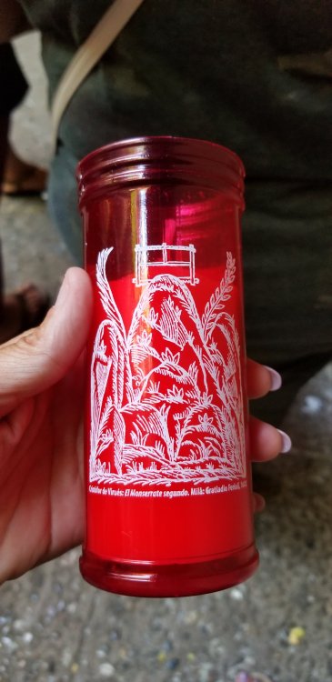 20190810_103528.thumb.jpg.dd43212502f9288e1e831c861f49cb96.jpg