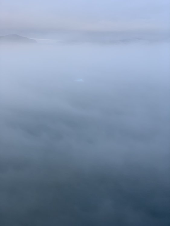 fog3.thumb.jpg.9a786b38cb1aa96f030209310c4b06b0.jpg