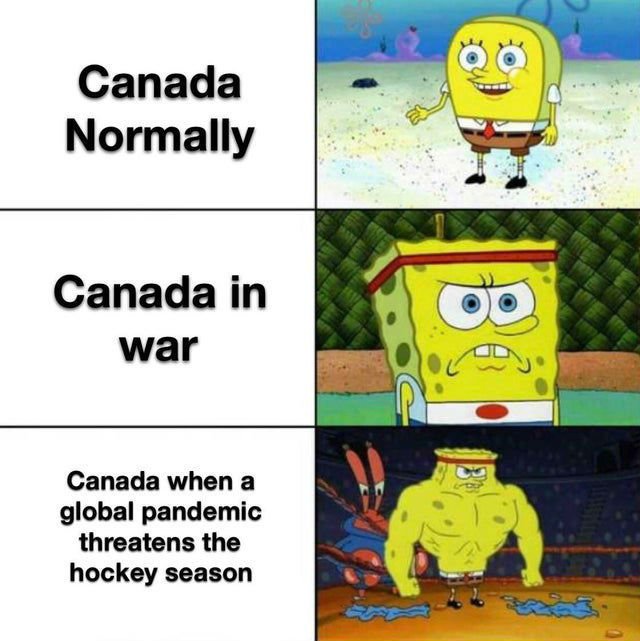 canadian-corona-virus-meme.jpg.8ca09a309e2ab94b6d9faee69693524d.jpg