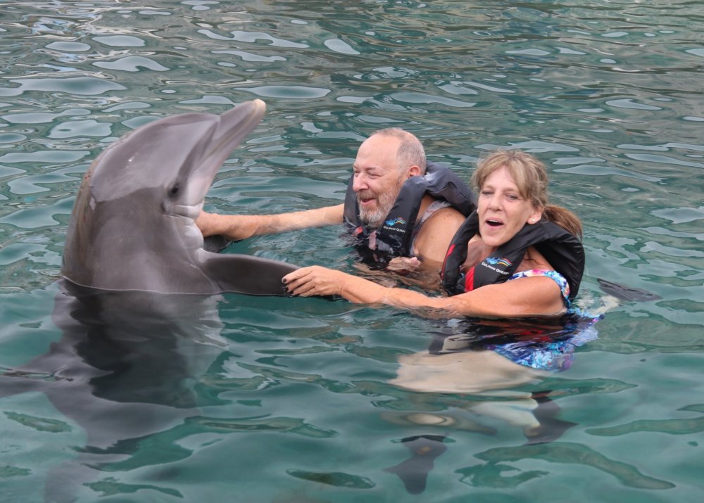 Dolphin Quest Photos-BERMUDA-Dolphin Dip-id240776226_withBorder.jpg