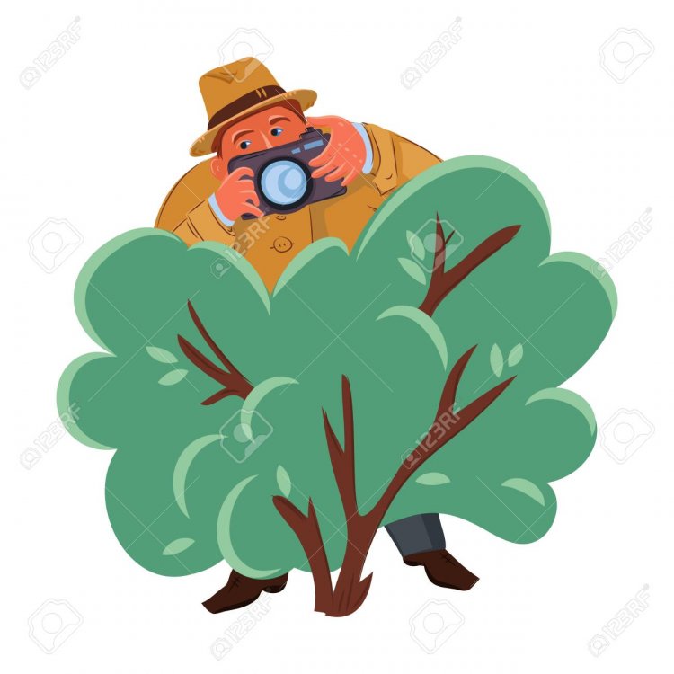 135751841-detective-man-in-brown-hat-hiding-in-the-green-bush-with-photo-camera-vector-colorful-illustration-i.jpg