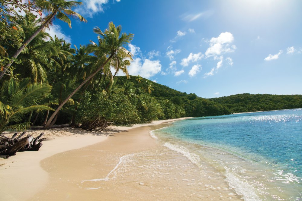 Zoom_Background - St John Trunk Bay.jpg