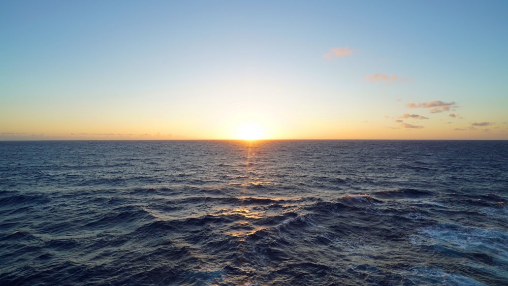 Zoom_Background - Sunrise at Sea.jpg