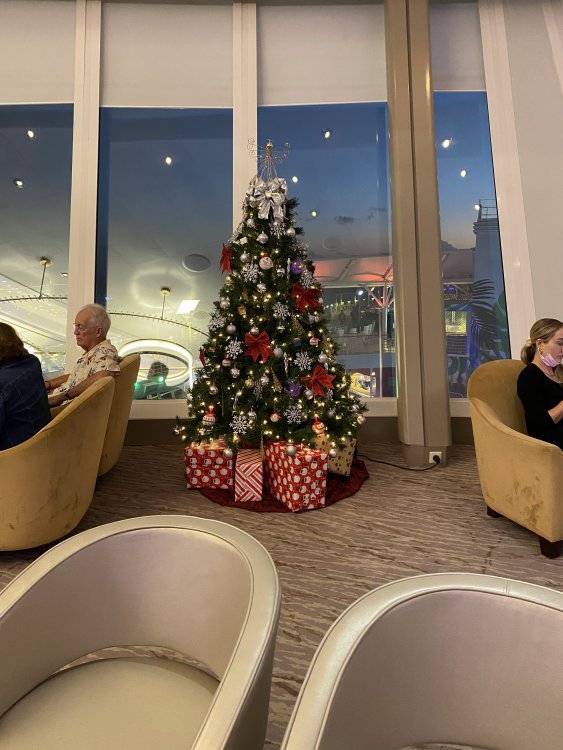 Oasis Suite Lounge Christmas Tree.jpg