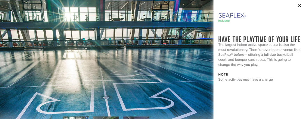 Can we use out own skates on Odyssey of the seas skating rink - Royal ...