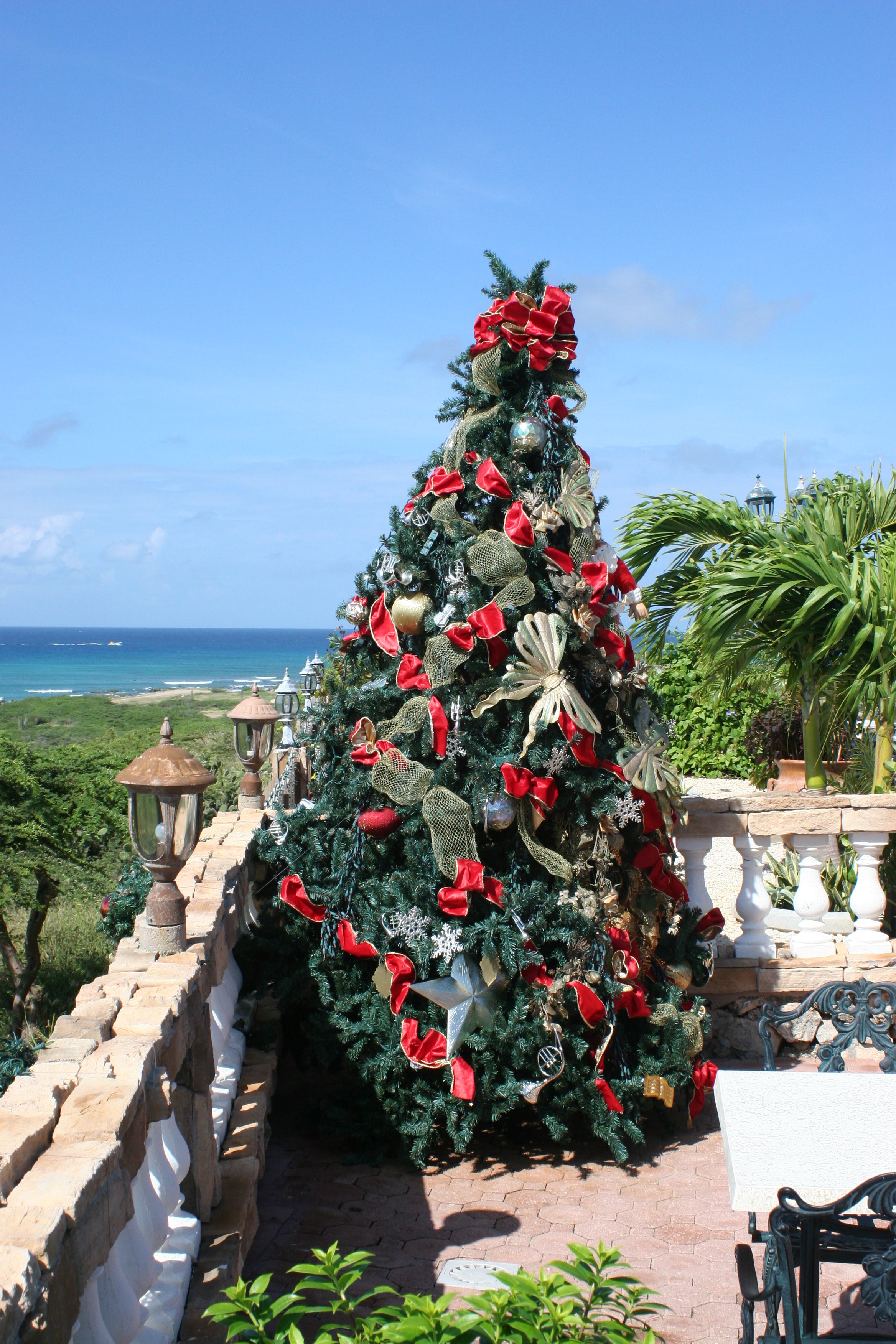 Mini Holiday Tree  Royal Caribbean International
