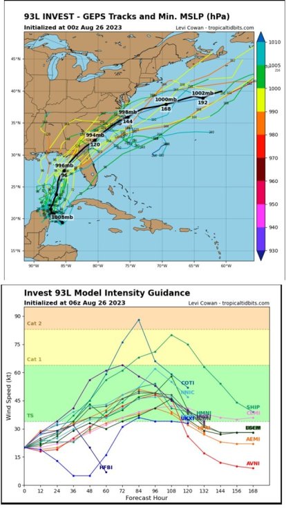 Invest93L.thumb.jpg.261e485af0c9bd7661e05d32276510fa.jpg