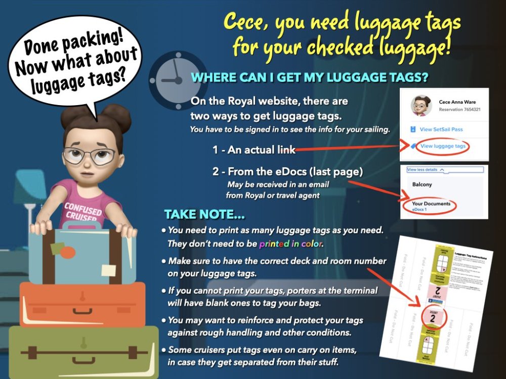 CECE-GettingLuggageTags.thumb.jpeg.bbf35a33e08a1e275b00d1effecb33a5.jpeg