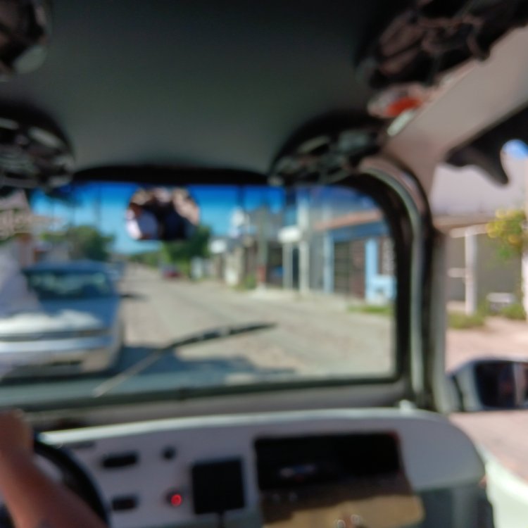 20231113_113651.jpg