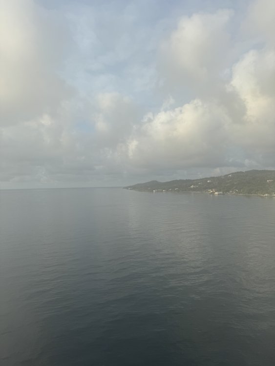 IMG_1485.thumb.jpeg.37a0ccd0cc87a9e47c0de227026da97f.jpeg