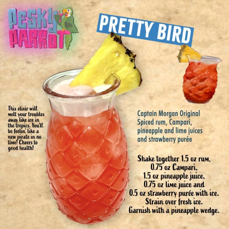 03PrettyBird.thumb.jpeg.d0e8a2ecbc862a31db8e94e09e79ad1b.jpeg