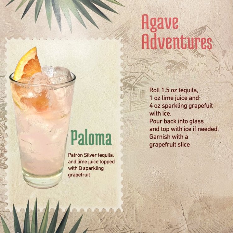 09Paloma.thumb.jpeg.8ceb5c355046c19a08bc0aa7b1001edc.jpeg