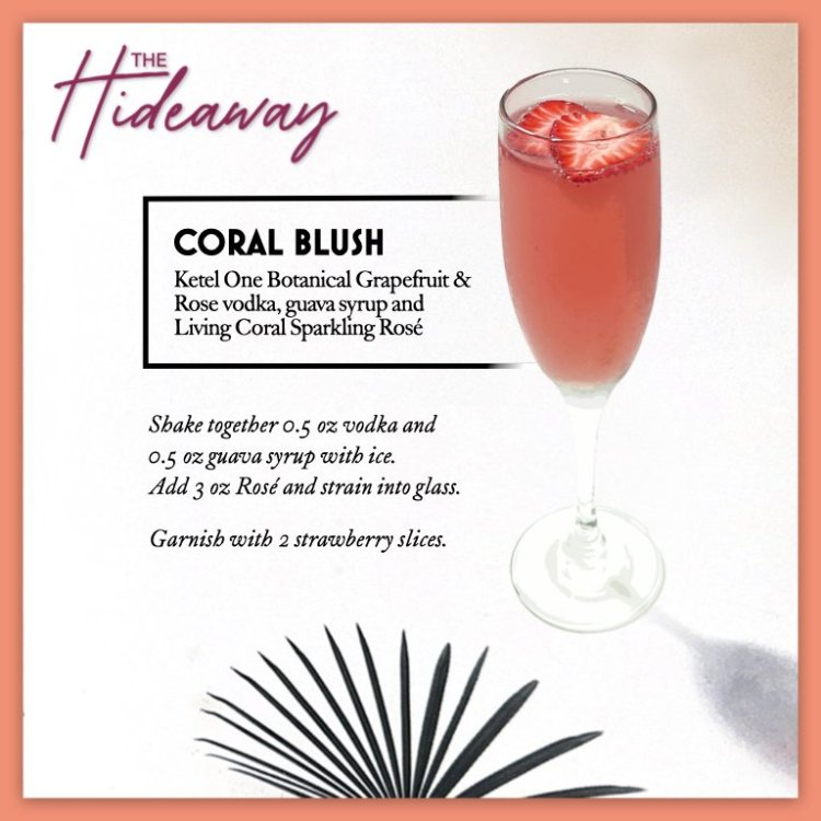 04CoralBlush.thumb.jpeg.9c73d378f58c301cf83893d77c8544da.jpeg