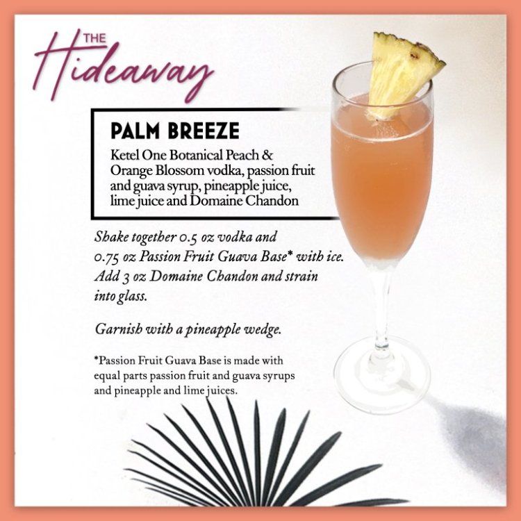 05PalmBreeze.thumb.jpeg.b4376029463225949348227a98e26337.jpeg