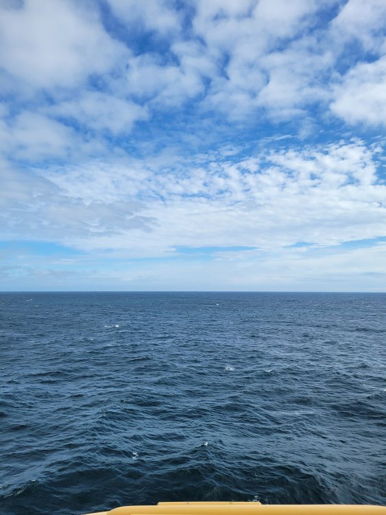20240917_120739.jpg