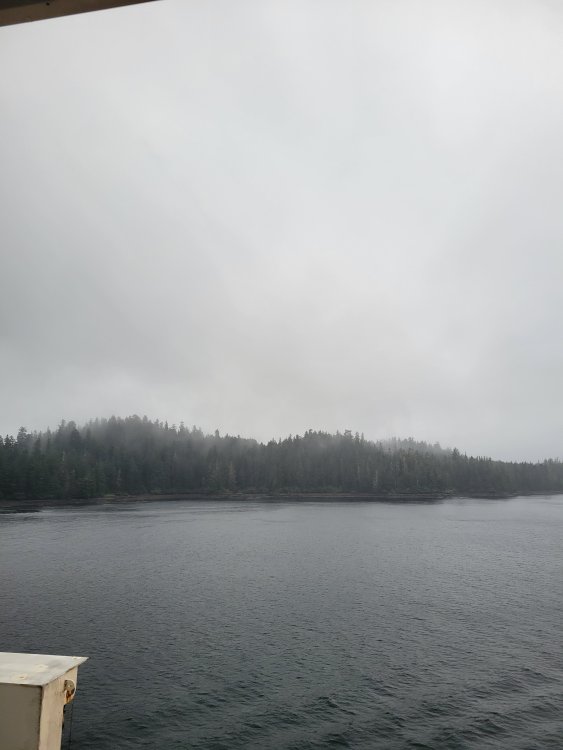 20240918_093648.jpg