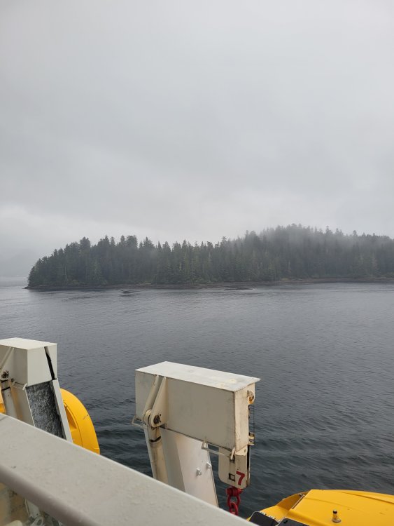 20240918_093653.jpg