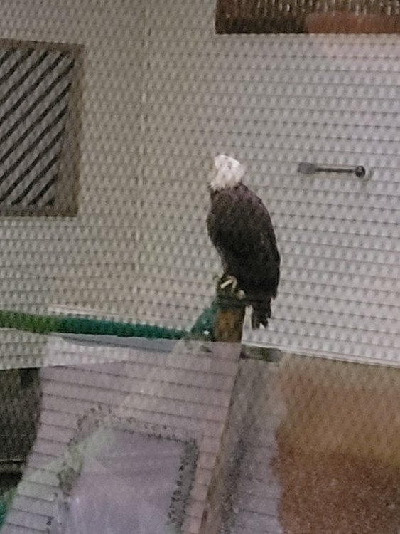 20240918_105716.jpg