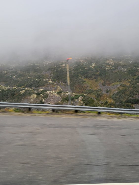 20240919_111737.jpg