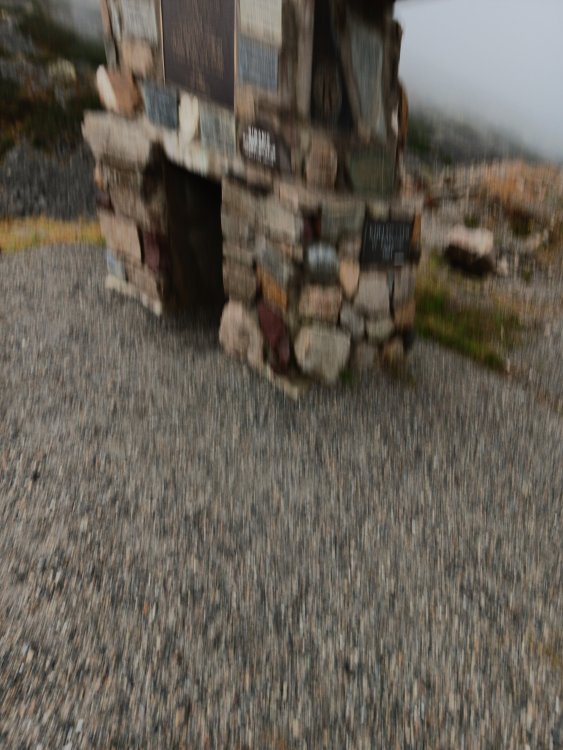 20240919_123216.jpg
