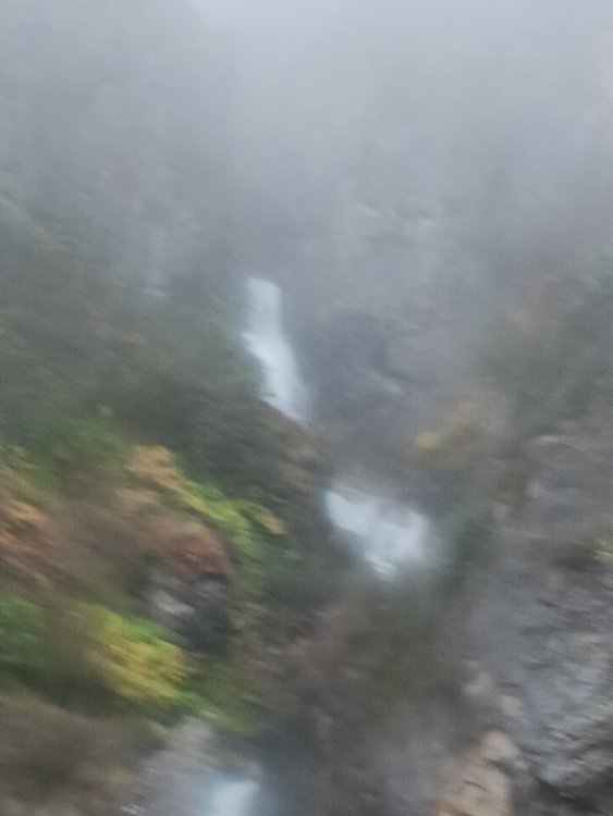 20240919_124857.jpg