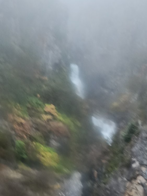 20240919_124858.jpg