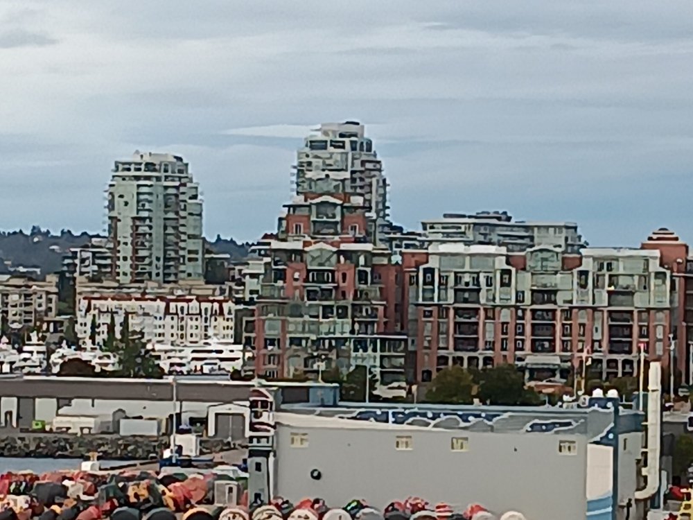 20240922_165120.jpg