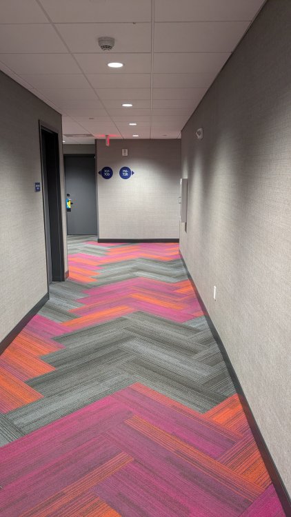 PXL_20240909_024219136.jpg