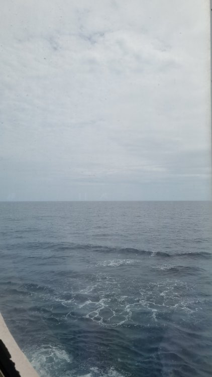 20241002_115307.thumb.jpg.bfb5c65b869385b7f91d6a47a85ca781.jpg