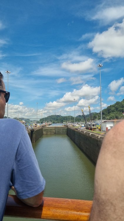 20241007_103014.thumb.jpg.19d04de94ad97a8656f262ca3abd6a1f.jpg