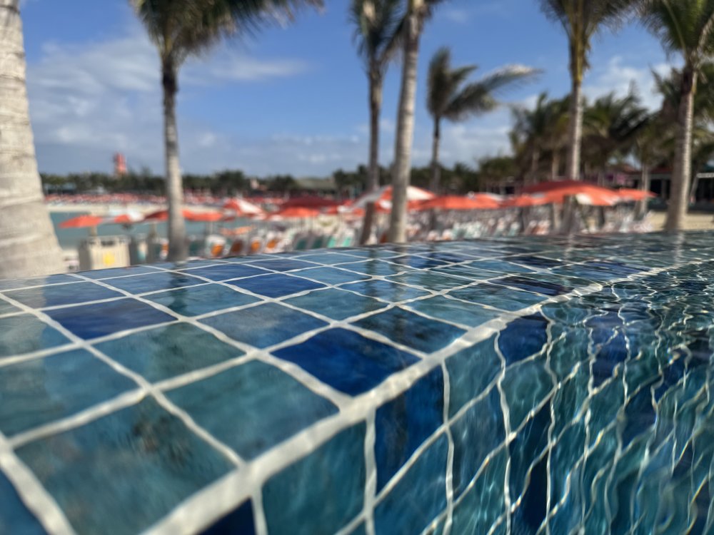 IMG_2174.jpeg