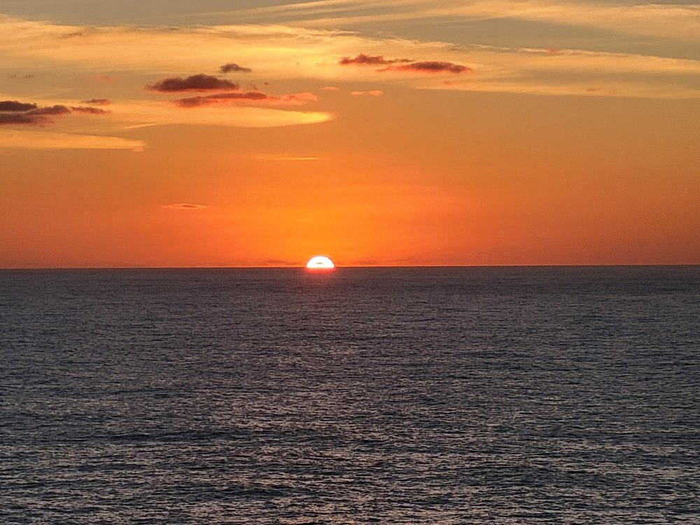 20250321_185052.jpg