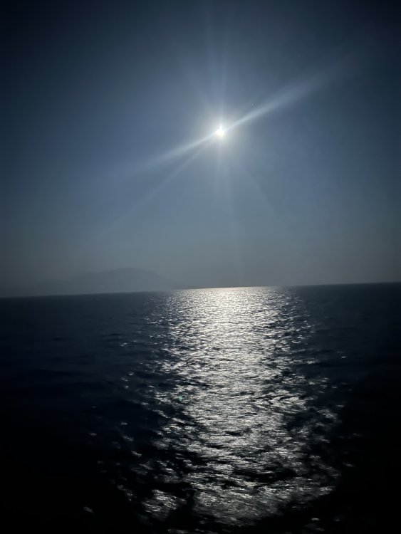 IMG_1901.jpeg