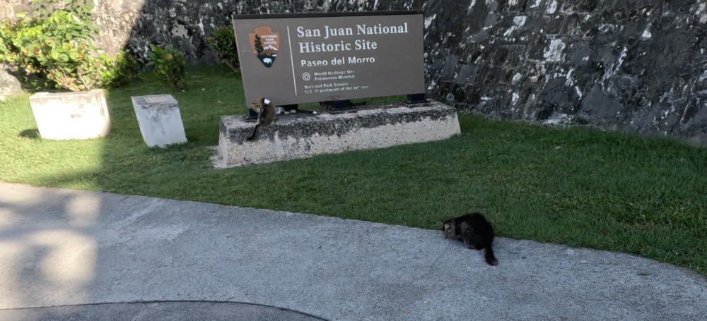 Screenshot 2026-01-08 at 1.41.09 PM.png