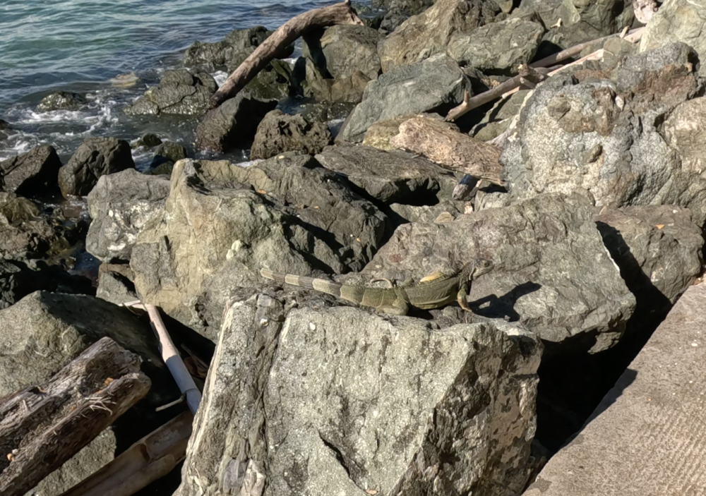 Screenshot 2026-01-08 at 1.43.20 PM.png